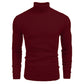 Nouvelle promotion📢60 % DE RÉDUCTION❗Pull fin à col roulé en tricot pour hommes d'hive