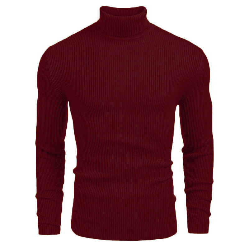 Nouvelle promotion📢50 % DE RÉDUCTION❗Pull fin à col roulé en tricot pour hommes d'hive