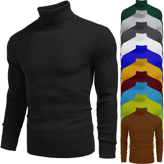 Nouvelle promotion📢50 % DE RÉDUCTION❗Pull fin à col roulé en tricot pour hommes d'hive