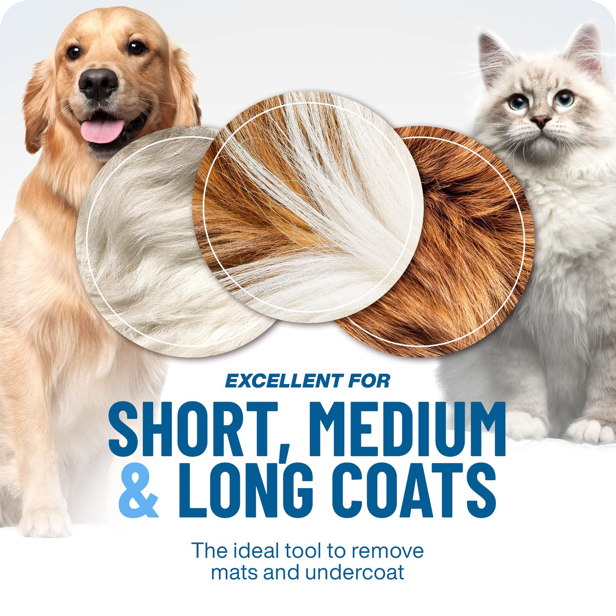 💐50% DE RÉDUCTION ! Peigne démêlage pour chiens/chats – Poils longs & courts efficace 🌀🐩【Stock Limité】