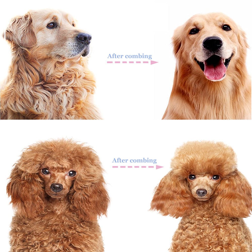 💐50% DE RÉDUCTION ! Peigne démêlage pour chiens/chats – Poils longs & courts efficace 🌀🐩【Stock Limité】