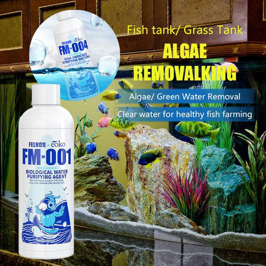 Purificateur d'eau pour aquarium, éliminateur d'algues