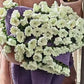 🎁2026 Nouveaux produits💐Couverture bouquet au crochet