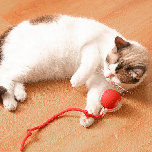 🔥VENTE LIMITÉE 50 % DE RÉDUCTION🔥Boule Roulante Automatique Intelligente pour Animaux de Compagnie