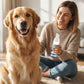 🐾🦷 OFFRE : 1 ACHETÉS, 1 OFFERT ! Mousse Dentaire Détartrante pour Animaux – Formule Végétale, Haleine Fraîche 12h, 60 ml, Bouteille 2-3
