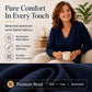 Women's Scalloped V-Neck Knit Sweater