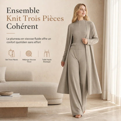 Ensemble en tricot 3 pièces décontracté pour femme pour automne et hiver : gilet sans manches, cardigan, pull et pantalon